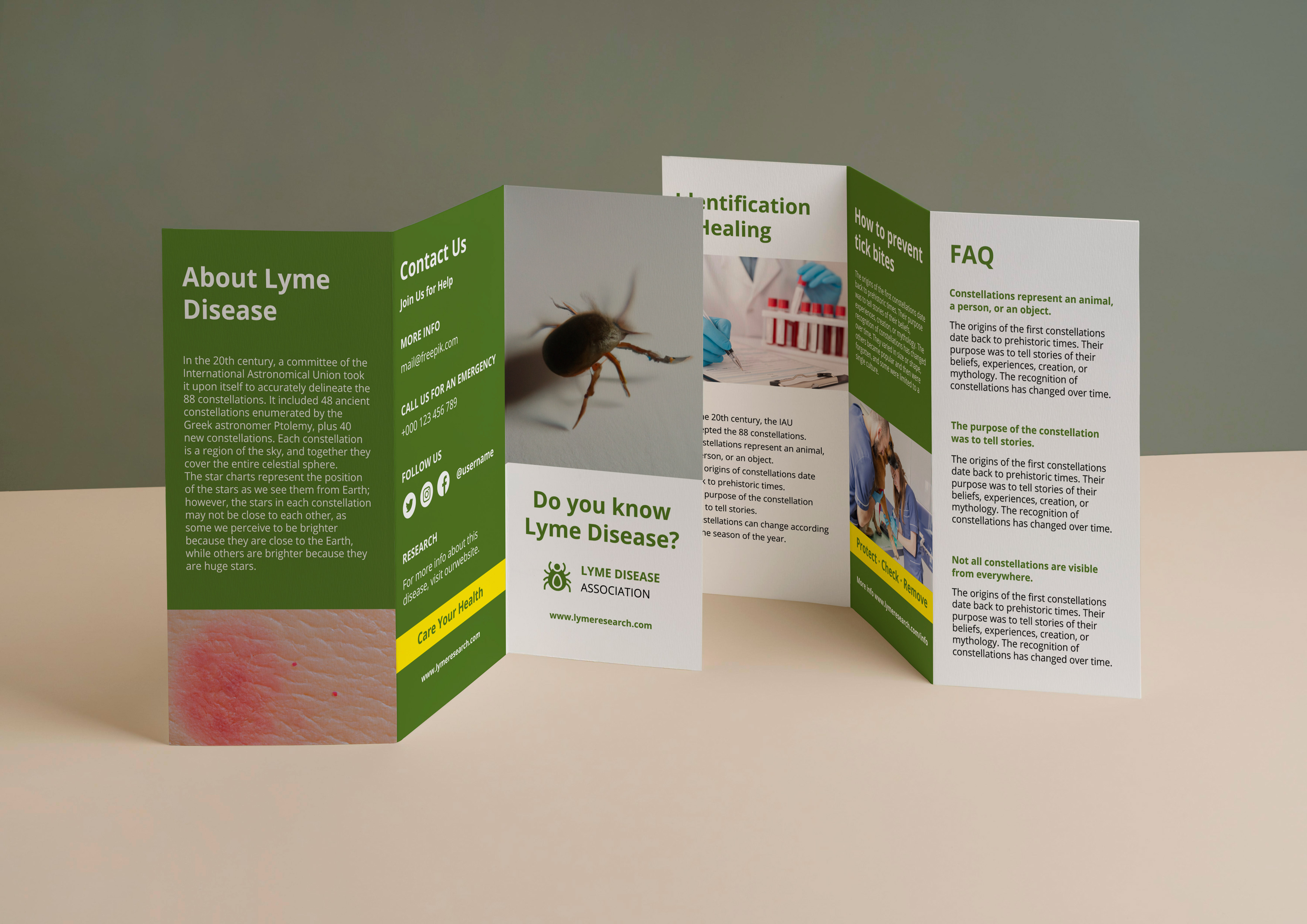 Brochure-