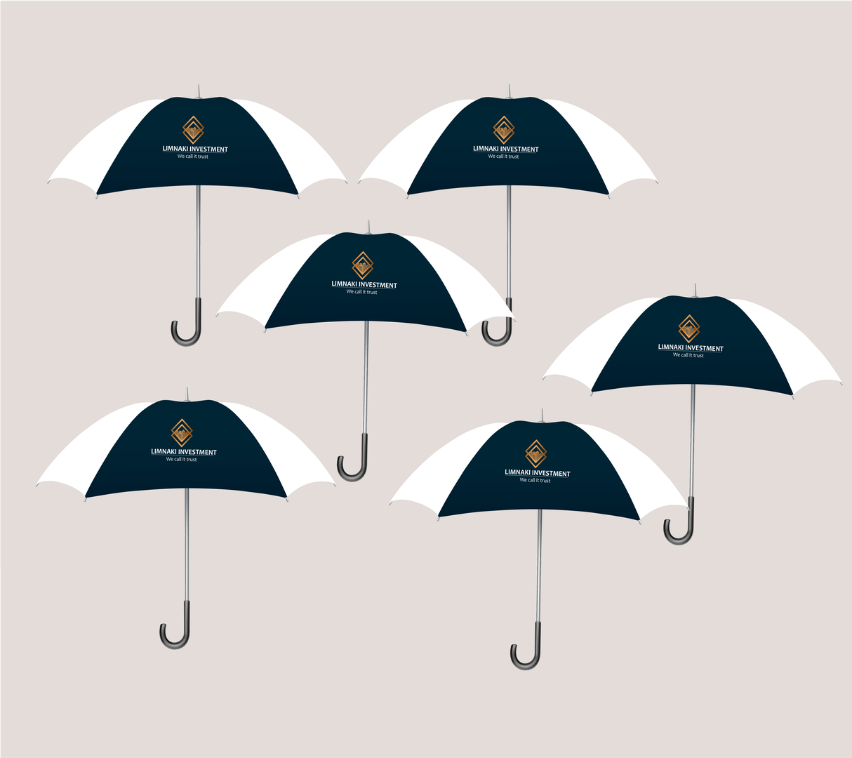 LIMNAKI INVESTMENT - BRANDING