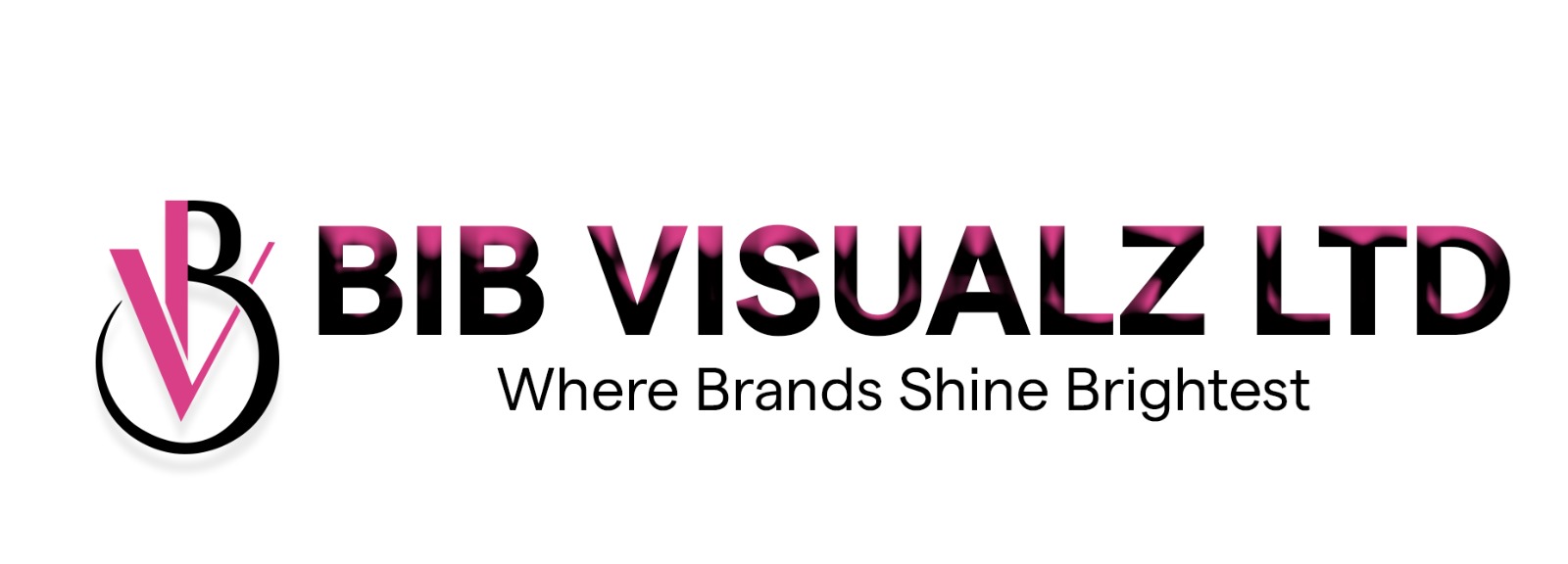Bib Visualz Limited logo